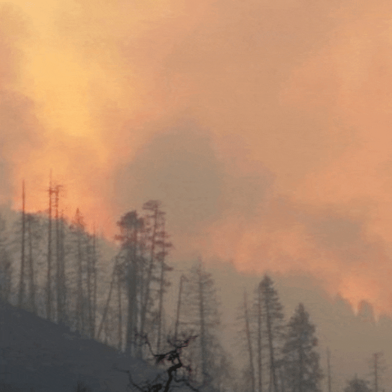 Brynne Kennedy for Congress GIF