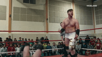 bring it on wrestling GIF by THE WRESTLERS
