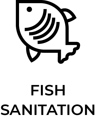 Fish Sushi Sticker by Normann Srl