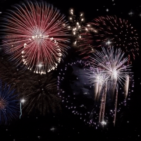 Party GIF