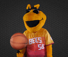 SaltLakeBees basketball baseball mascot jazz GIF
