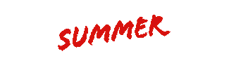 Party Summer Sticker by Stolichnaya
