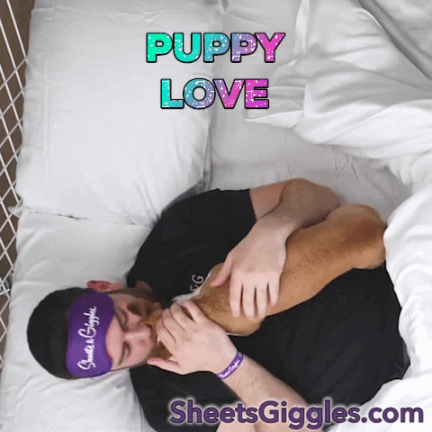SheetsGiggles love cute dog hug GIF
