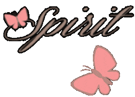 NinaSpirit Sticker