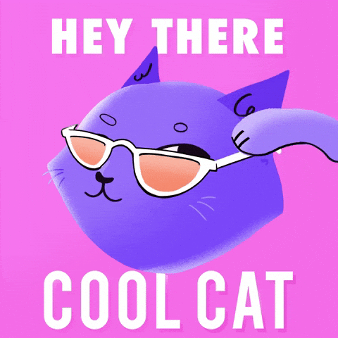 Cartoon gif. A cat pulls down its sunglasses to raise an eyebrow and wink at us. Text, "Hey there, cool cat."