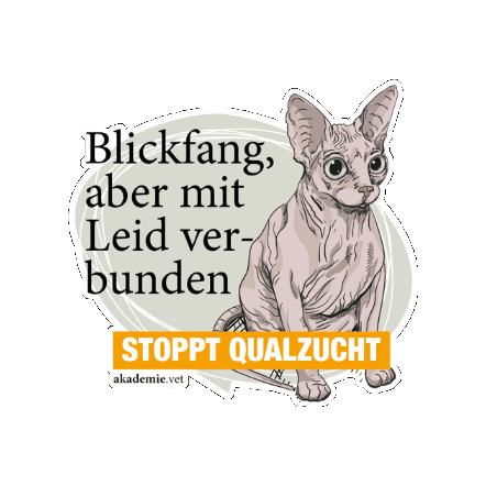 Sticker by akademievet