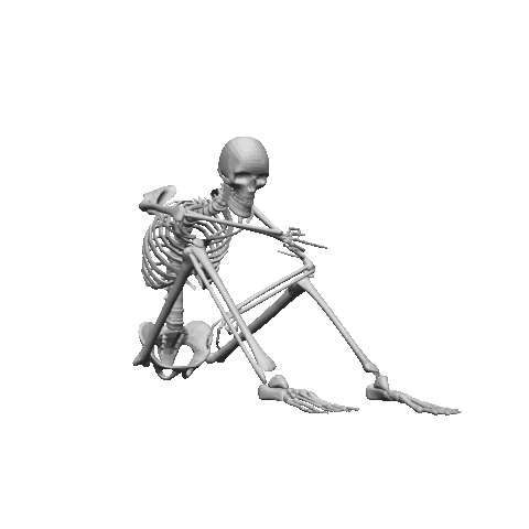 Skeleton Bones Sticker by Robert Lund