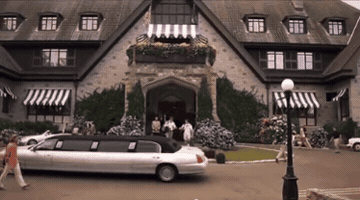 White Chicks GIF
