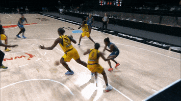 Get Out Basketball GIF by Indiana Fever