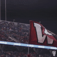 Cheer Flags GIF by NC State Athletics