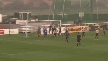 Wsl GIF