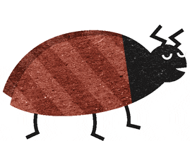 Bug Insect GIF by followfood