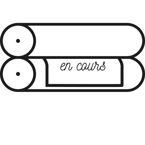 C'est Mon Disque Sticker