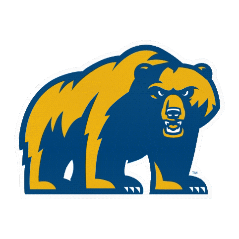 Golden Bear Sticker by WVU Tech Golden Bears