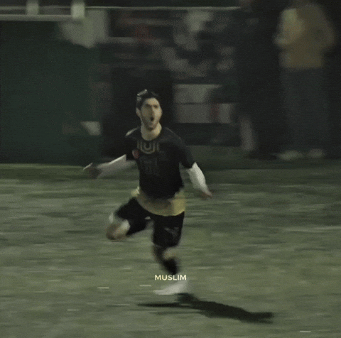 Metospor GIF