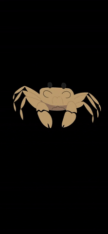 Tallytate GIF