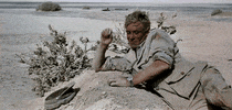 get comfortable lawrence of arabia GIF by Maudit