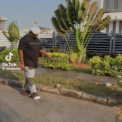 Walking GIF by Don Jazzy
