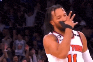 New York Knicks GIF