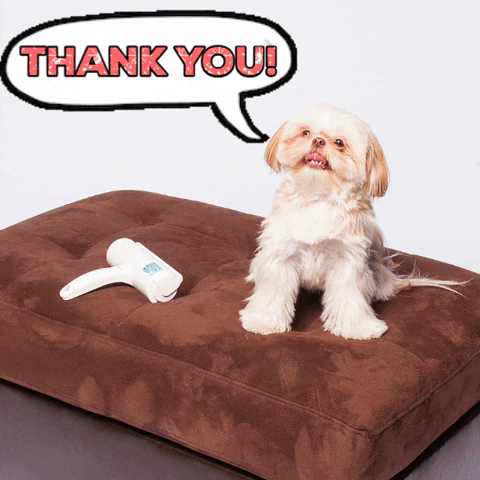 chomchomroller thank you dog hair remover cat hair remover chomchom rollers GIF