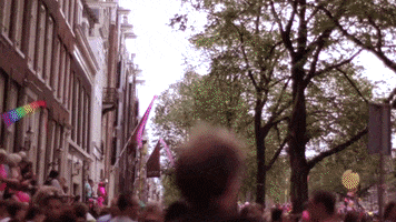 GIF by Pulitzer Amsterdam
