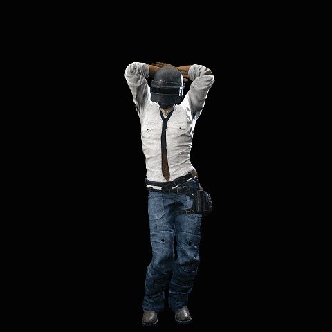 Video Game Emote GIF by PUBG Battlegrounds - Find & Share on GIPHY