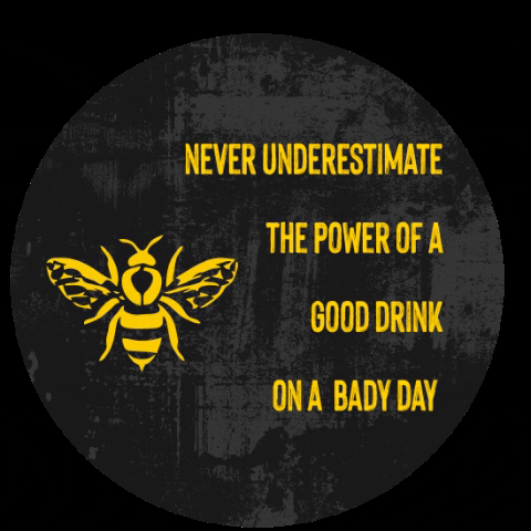 Tipsy Bee GIF
