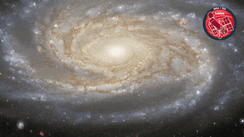 Awesome Nasa GIF by ESA/Hubble Space Telescope