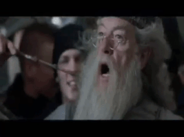StephJay22 harry potter dumbledore wands GIF