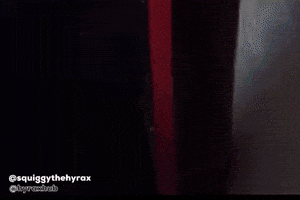 Rock Hyrax Hello GIF