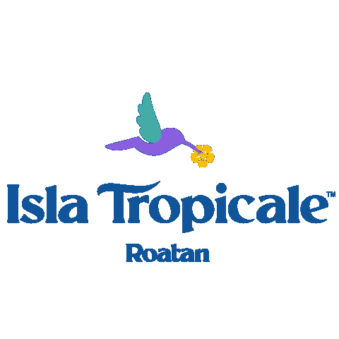 Cruise Ship Fun Sticker by Carnival Cruise Line