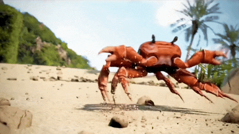 [Image: giphy.gif?cid=6c09b952laeicht74ktovpjwni...y.gif&ct=g]