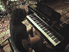 Live Music Festival GIF by Sticky Fingers