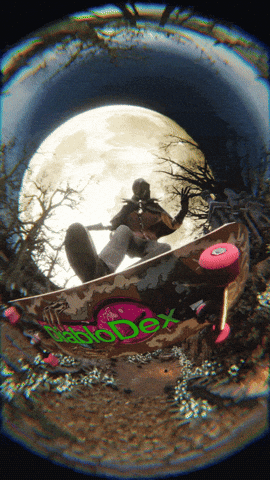 Skate Skateboard GIF