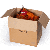 200.gif?cid=fc005b080e9c0499836e2c8ede087447ca67f7c066385db1&rid=200.gif&ct=g