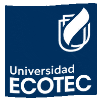 Flag University GIF by ECOTEC Alumni
