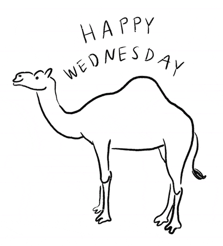 Illustrated gif. A black and white line drawing of a camel. Text, "Happy Wednesday."