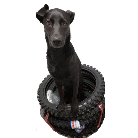 Kenda Tire Sticker