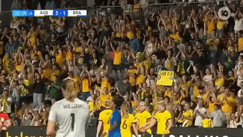 Soccer Celebrate GIF by Football Australia
