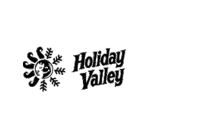 New York Sun Sticker by Holiday Valley