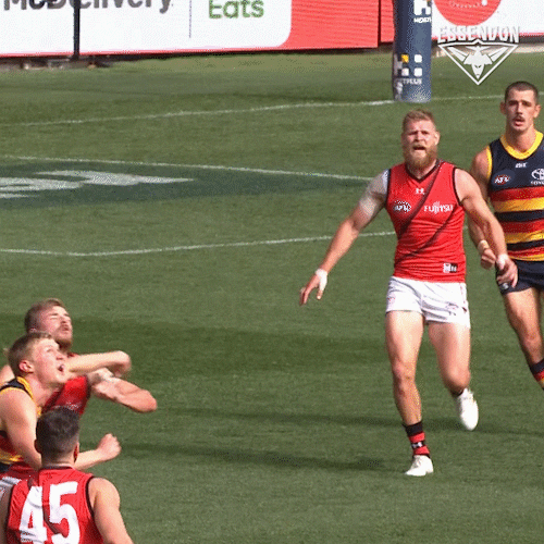 Excited Aussie Rules GIF by Essendon FC