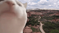 Very-funny GIFs - Get the best GIF on GIPHY