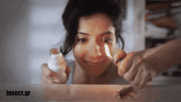 Pestcontrol GIF by Insect Trojan