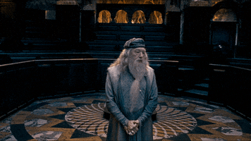 Cant Believe Here We Go Again GIF by Fantastic Beasts: The Secrets of Dumbledore