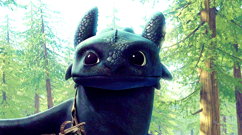 httyd