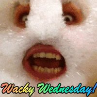 Wacky Wednesday GIF