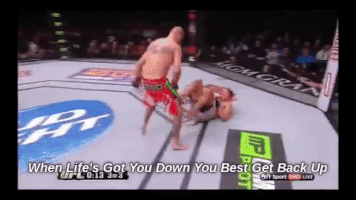 btcmacroecon life mma thai Muay GIF