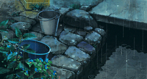 Animated Rain Gif, Rain 2560X1600 HD wallpaper | Pxfuel