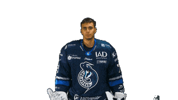 Goalie Slavik Sticker by HK Poprad