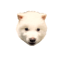 Puppy Yes Sticker by Colossal